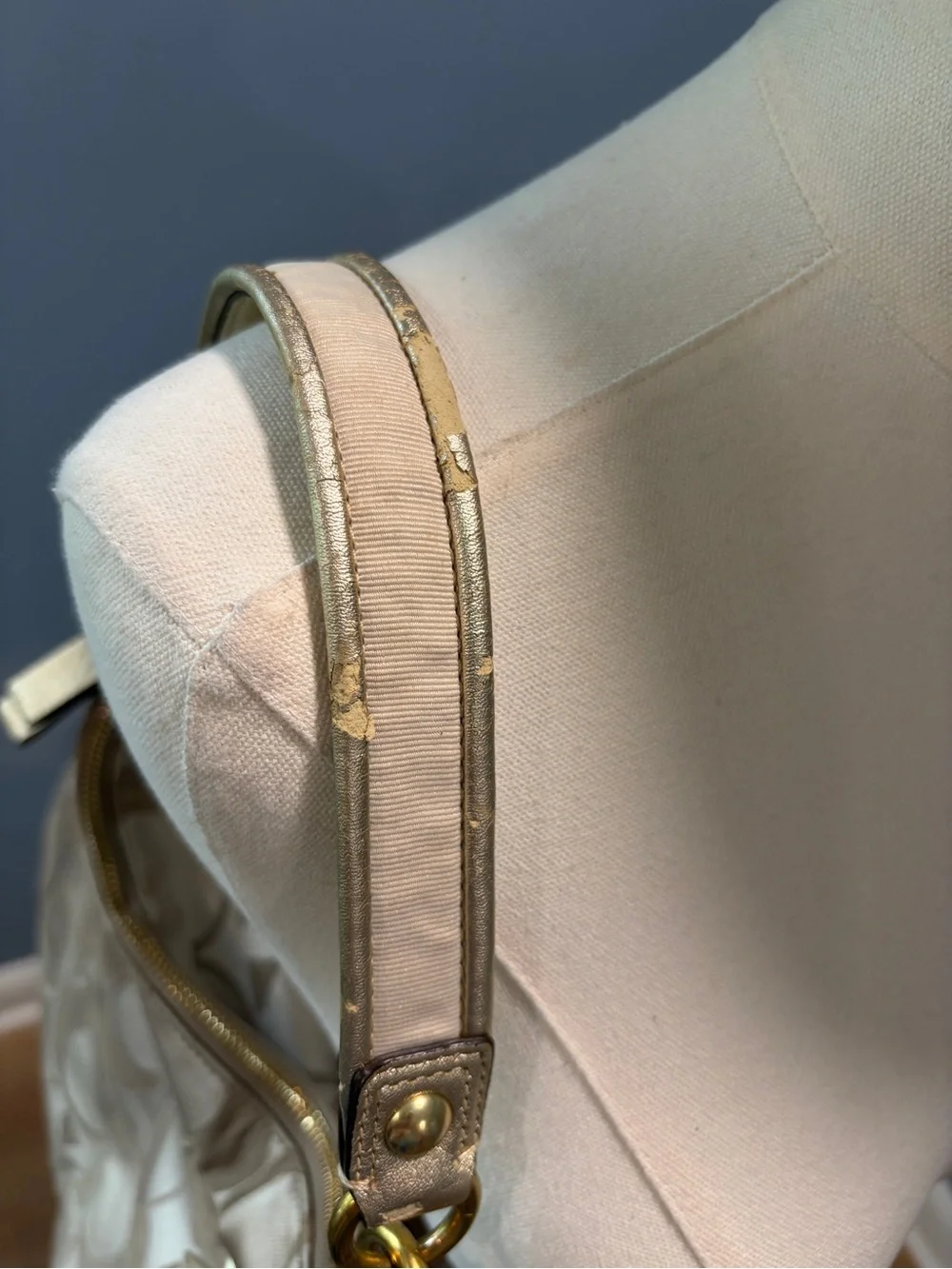 Coach brand collection
